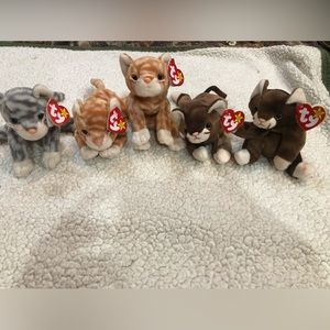 TY BEANIE BABIES lot of 5 kittens